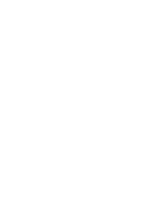 Icon of an award seal